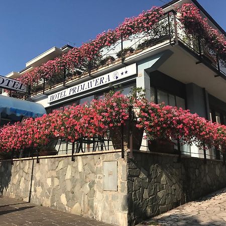 Hotel Primavera Дезенцано-дель-Гарда Экстерьер фото