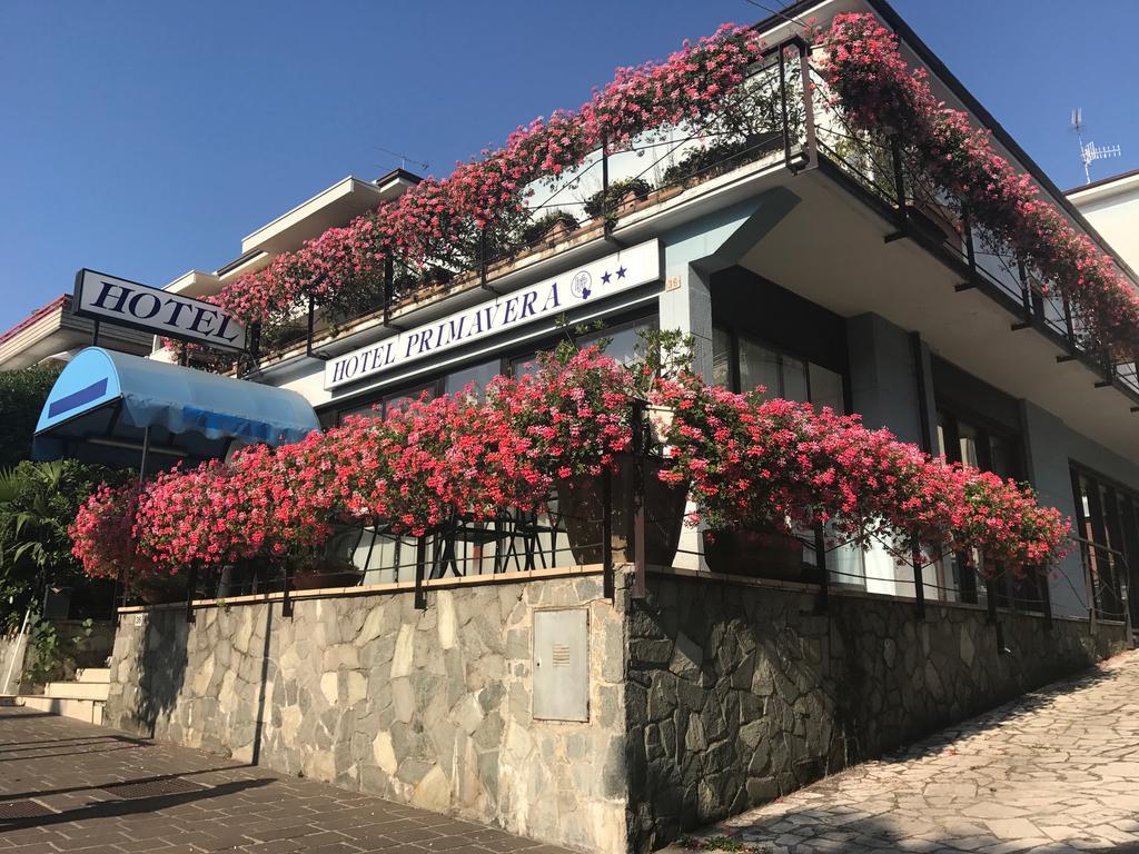 Hotel Primavera Дезенцано-дель-Гарда Экстерьер фото